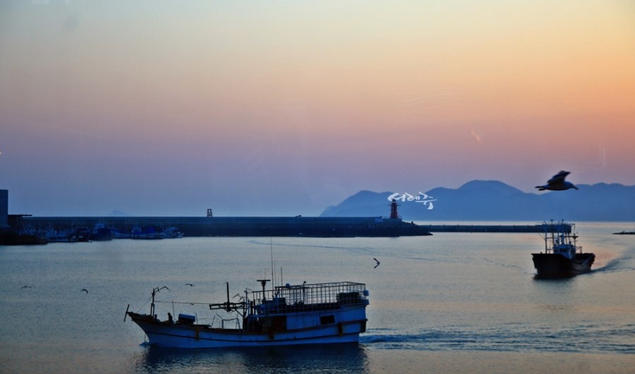 충남 태안 신진도 안흥항 희망수산 제철 암꽃게가 최고~!