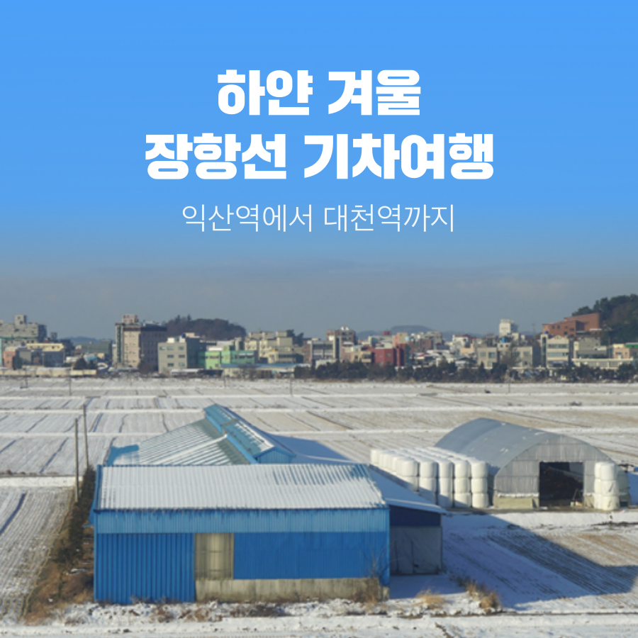 겨울 기차여행 장항선 무궁화호 설국 열차-익산역~대천역 설경 풍경