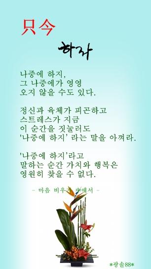 하라 이미지