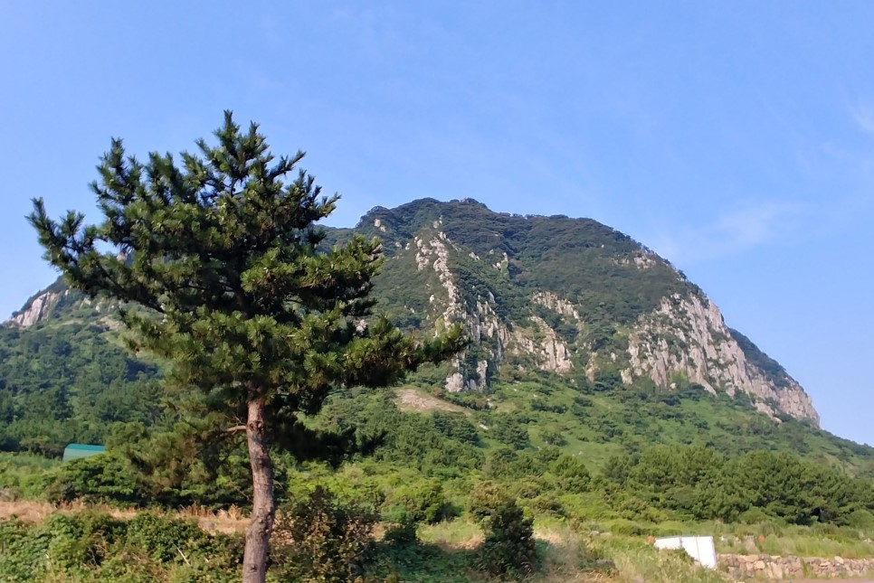 [서귀포 흑돼지 맛집]날씬흑돼지