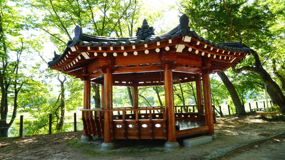 전남 관광명소 화순 가을여행코스 화순동복연둔리숲정이-사진찍기 좋은곳 뮤직비디오. CF, 드라마 촬영지로 추천