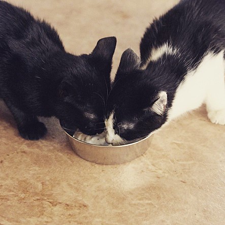 class="se-image-resource"