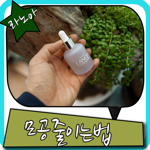 class="se-image-resource"