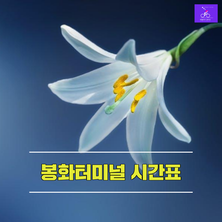 봉화시외버스터미널 시간표(공용버스정류장)봉화 관광명소