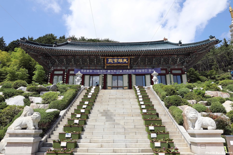 부산 삼광사, 한여름에 펼쳐지는 효문화 연꽃축제