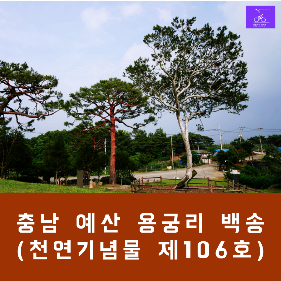 class="se-image-resource"