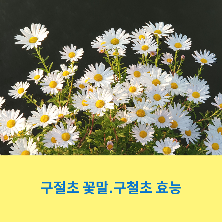 class="se-image-resource"