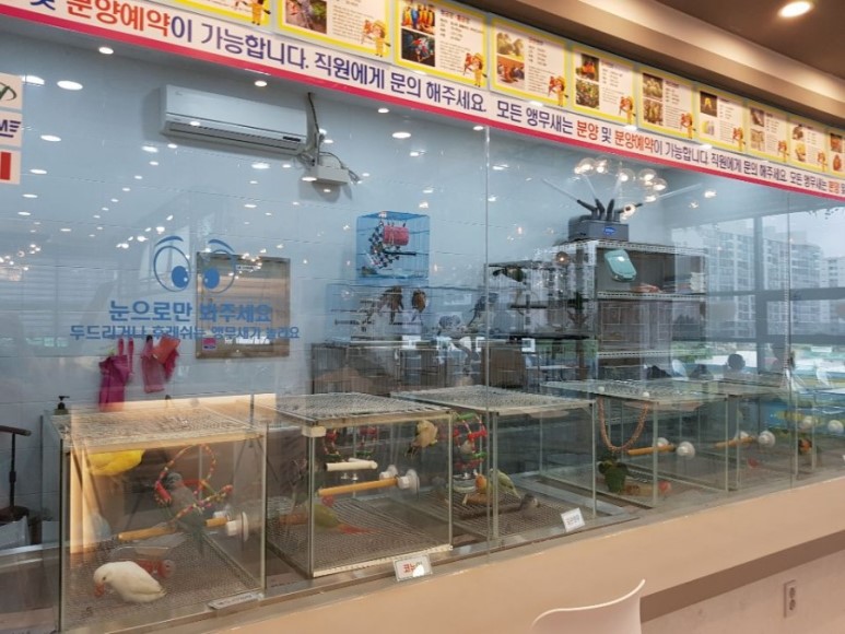 도안동 앵무새카페 버드소리, 아이와 함께가면 특별해