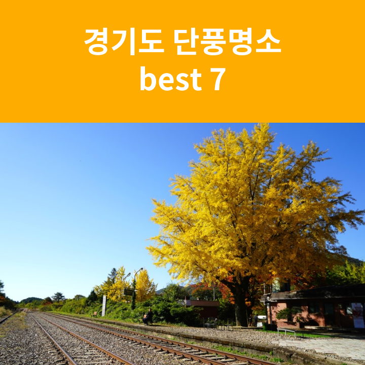 class="se-image-resource"