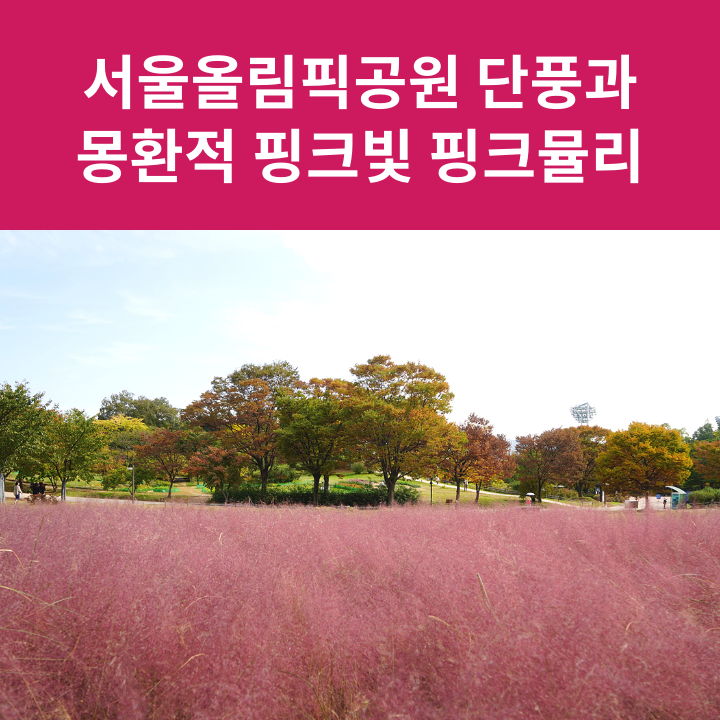 class="se-image-resource"