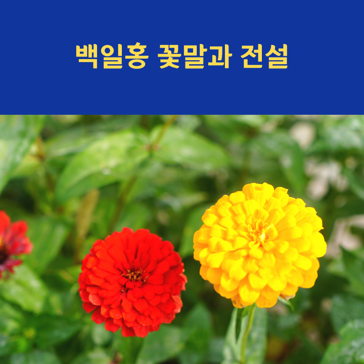 class="se-image-resource"