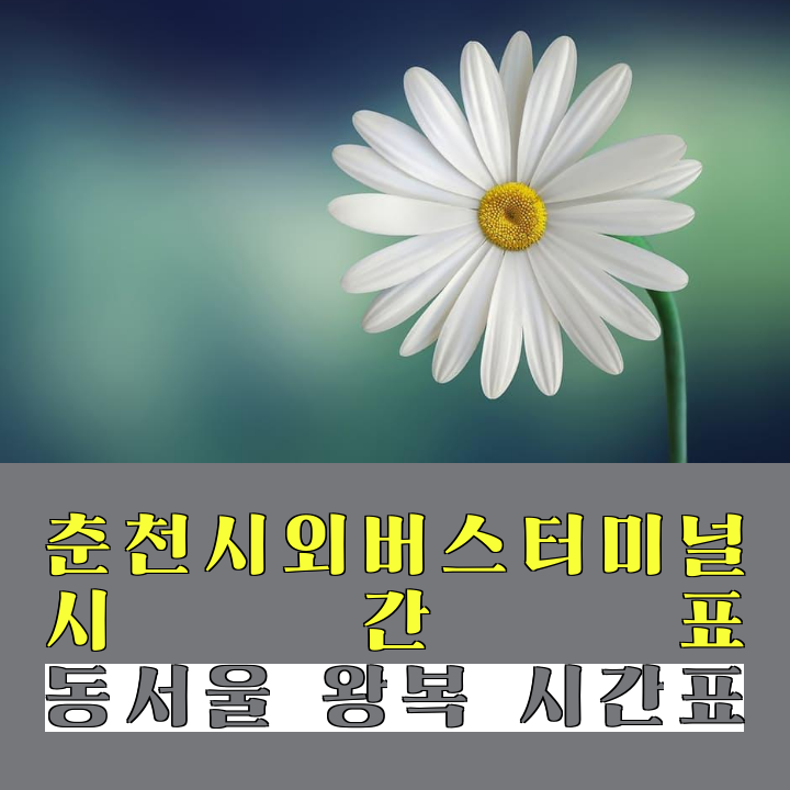 class="se-image-resource"