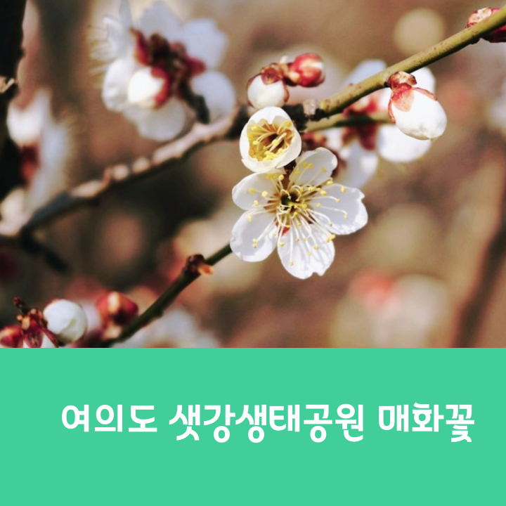 class="se-image-resource"