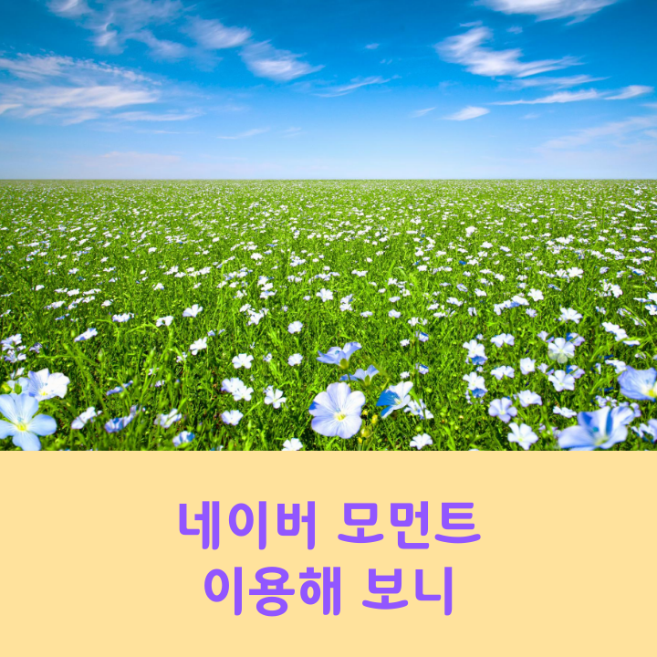 class="se-image-resource"