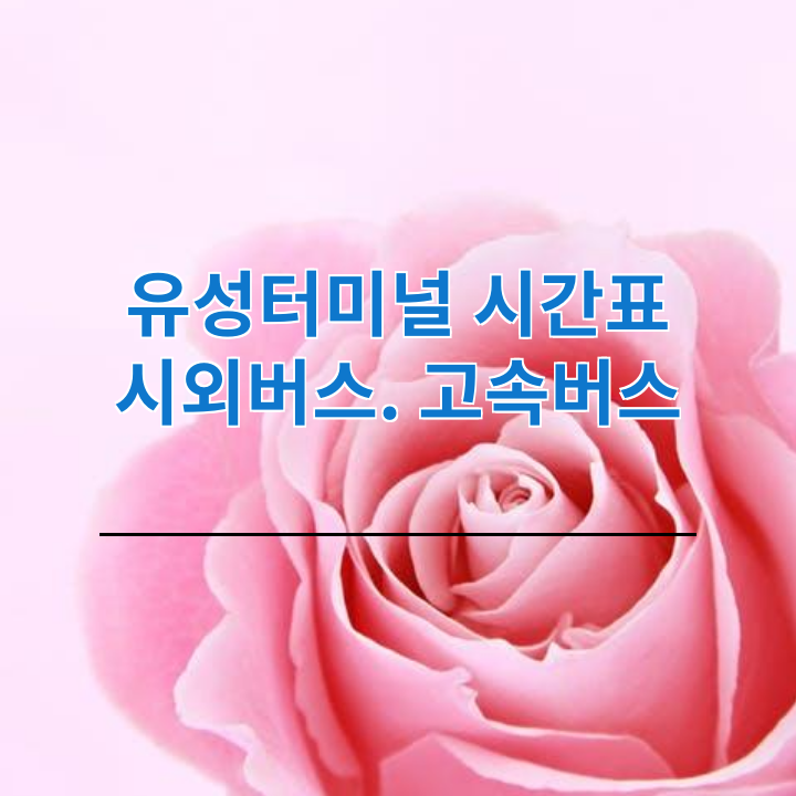 class="se-image-resource"