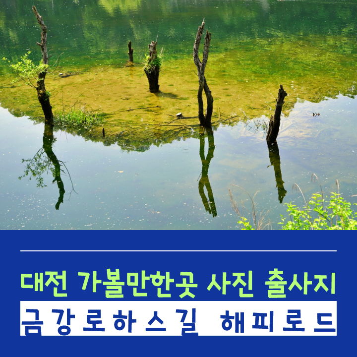 class="se-image-resource"