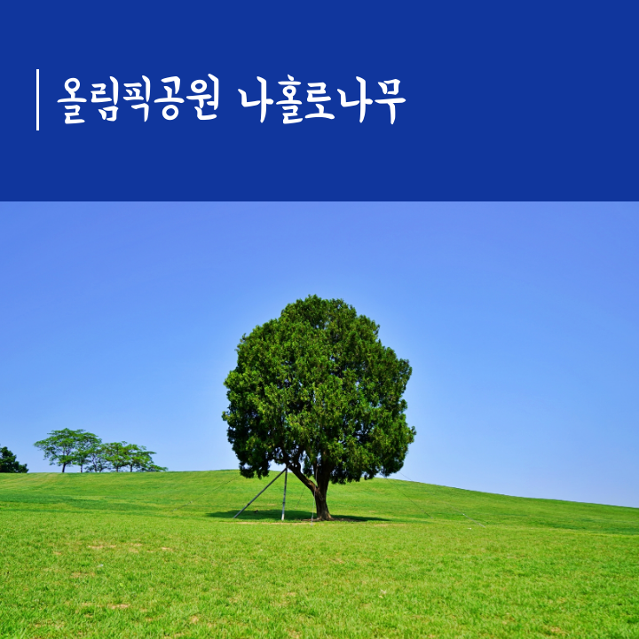 class="se-image-resource"