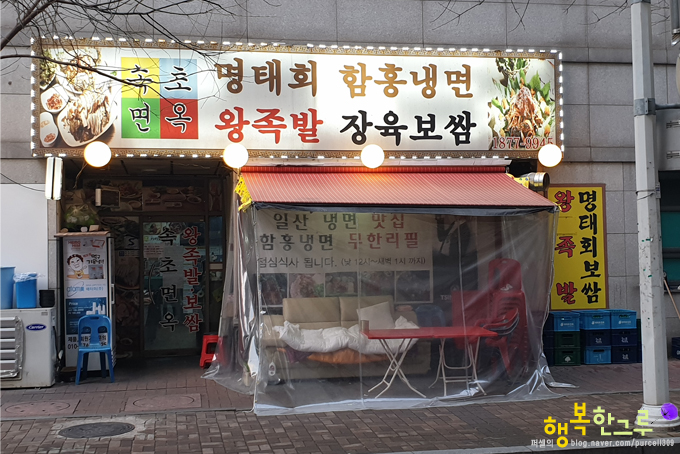 일산 벨라시타 맛집 고양터미널 족발집 속초면옥