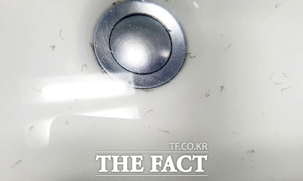õ      ߰ߵƴٴ ο   15 õ  굿  Ʈ   ̰ ִ. /ý