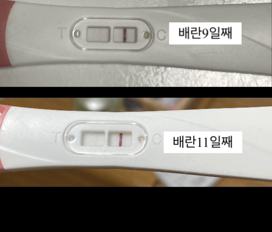 원포패스터 얼리임테기 시약선인지 확인 좀 해주세요ㅠㅠ 원포패스터 얼리임테기 시약선인지 확인 좀 해주세요ㅠㅠ