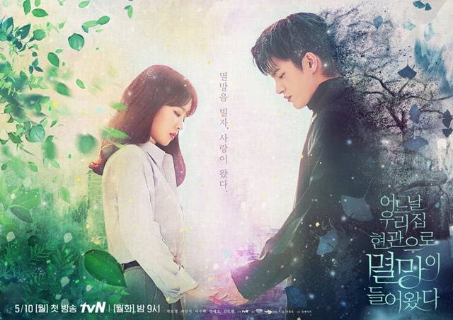 '멸망'이 새로운 포스터를 공개했다. 박보영(왼쪽)은 넘치는 생기, 서인국은 쓸쓸한 죽음의 아우라를 뿜어내 눈길을 사로잡는다. /tvN 제공