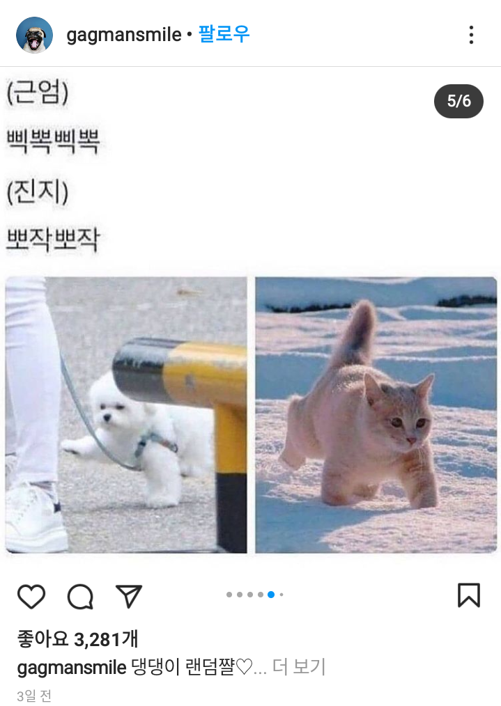 엄근진
