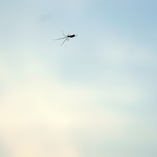 class="se-image-resource"