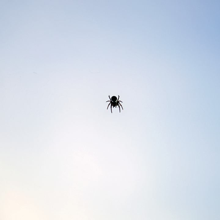 class="se-image-resource"