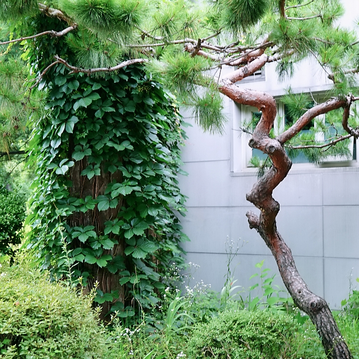 class="se-image-resource"