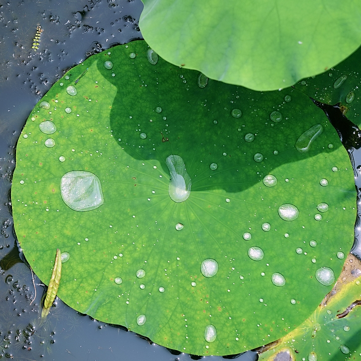 class="se-image-resource"