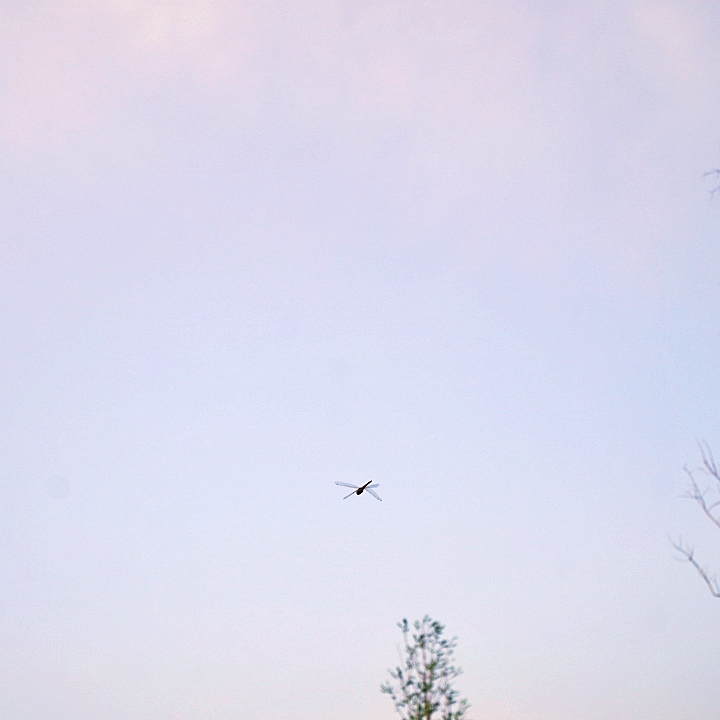 class="se-image-resource"