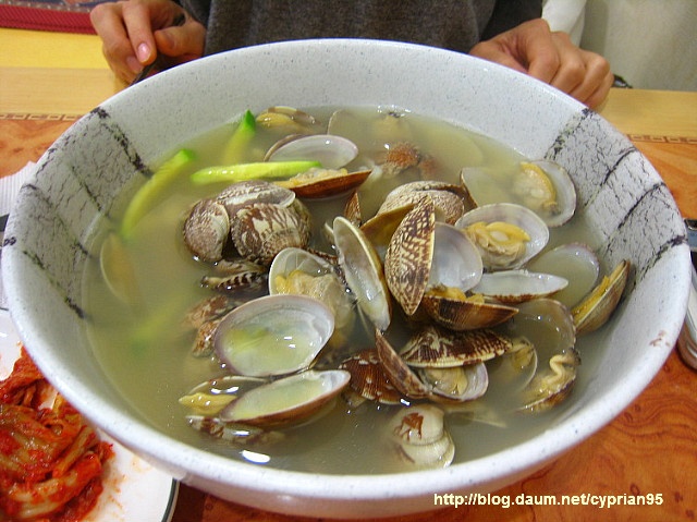 이지데이 맛집 - 전라도 옛맛 손팥칼국수
